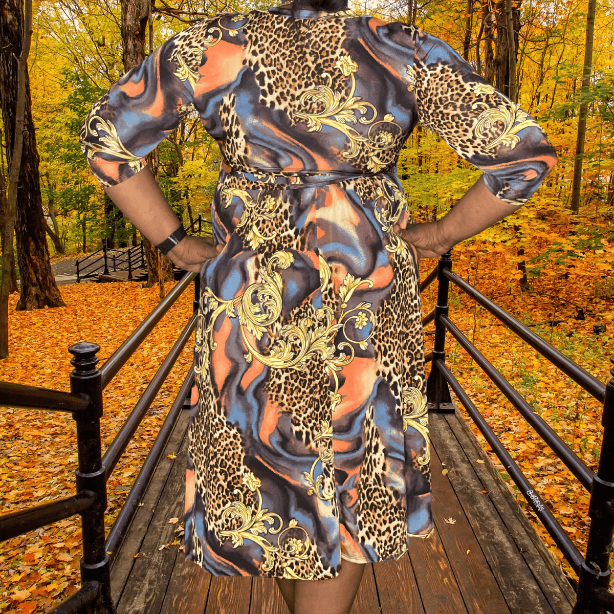 Safari Chic Dress 1x